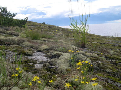 В ладожских шхерах