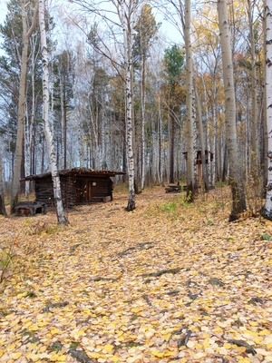 Лес