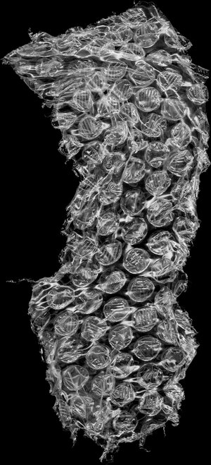 Пупырчатая пленка