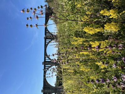 Мокринский мост