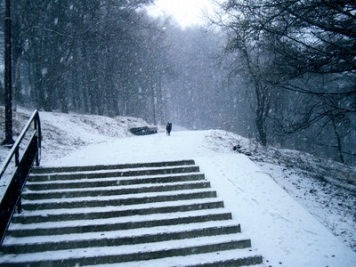 Лестница в парк
