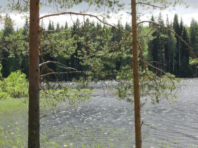 Пейзаж с озером