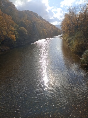 Осенняя пора