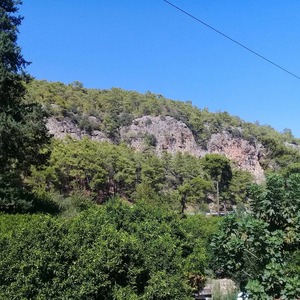 Скалы