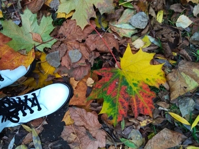 Белые ботинки