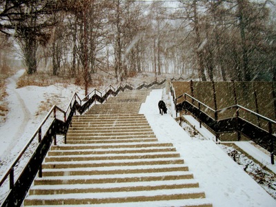Лестница зимой