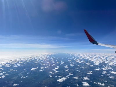 Fly