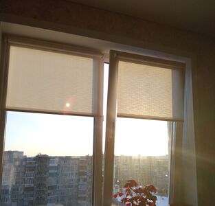 Алина сухарникова