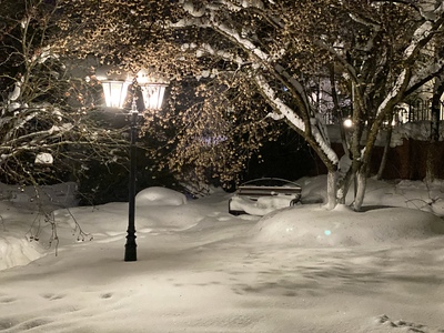 Зимний вечер в парке