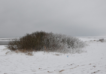 Зимний пейзаж