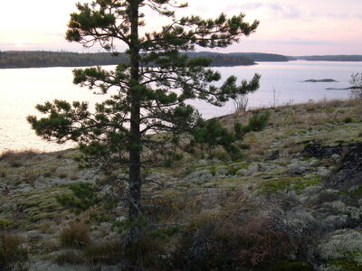 Вечер на ладоге