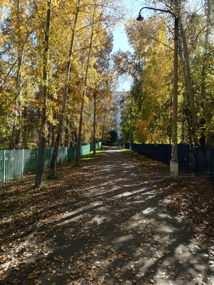 Роща