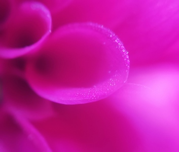 Природа
