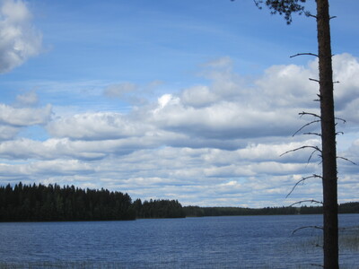 Пейзаж с озером