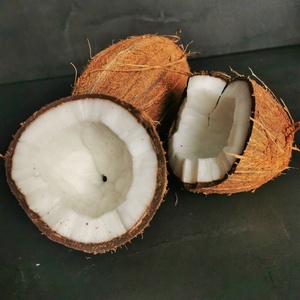 Coconut