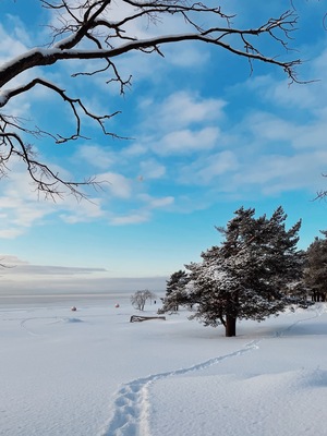 Ласковый пляж