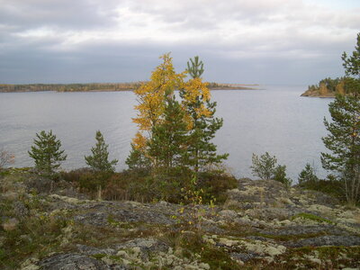Осень на ладоге 3