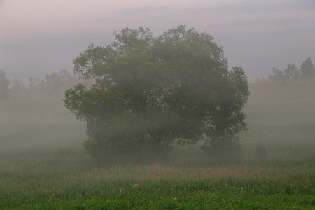 Туманный пейзаж