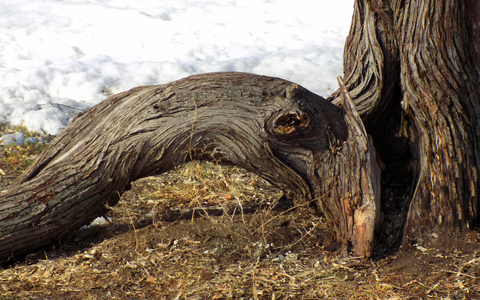 Вот и время пришло