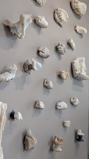 Коллекция родена