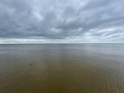 Владислав Тарасенко