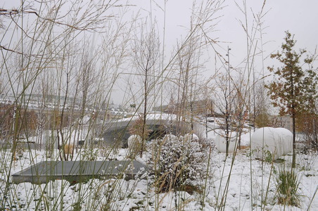 Зарядье зимой