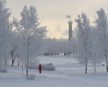 Зима в парке 300-т летия санкт-петербурга