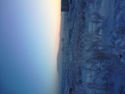 Поле