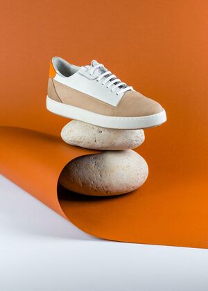 Shoe