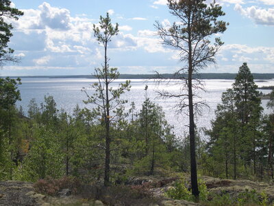 В ладожских шхерах