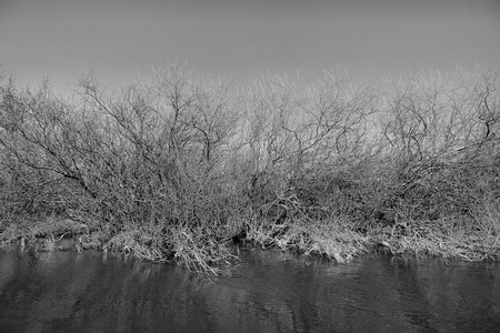 Mysterious river