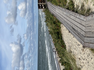 Куршская коса