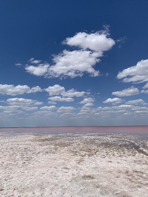 Розовое озеро