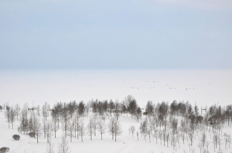 Зима на финском заливе в санкт-петербурге