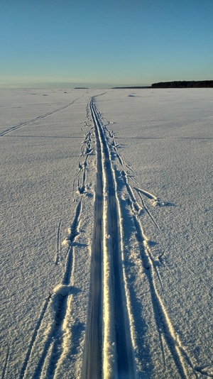 Лыжня на финском заливе