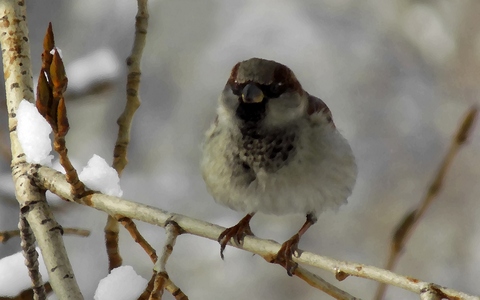Кто на меня